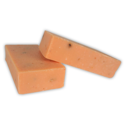 Orange Aloe Bar Soap